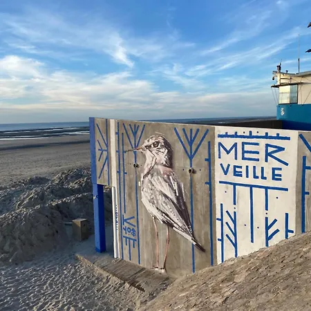L'Abri Cotier - Appartement Face Mer 2/4 Personnes Fort-Mahon-Plage Exterior photo